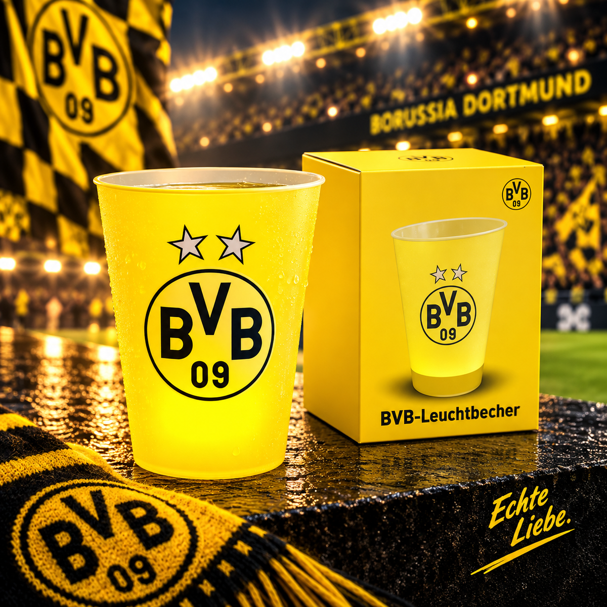 BVB light cup
