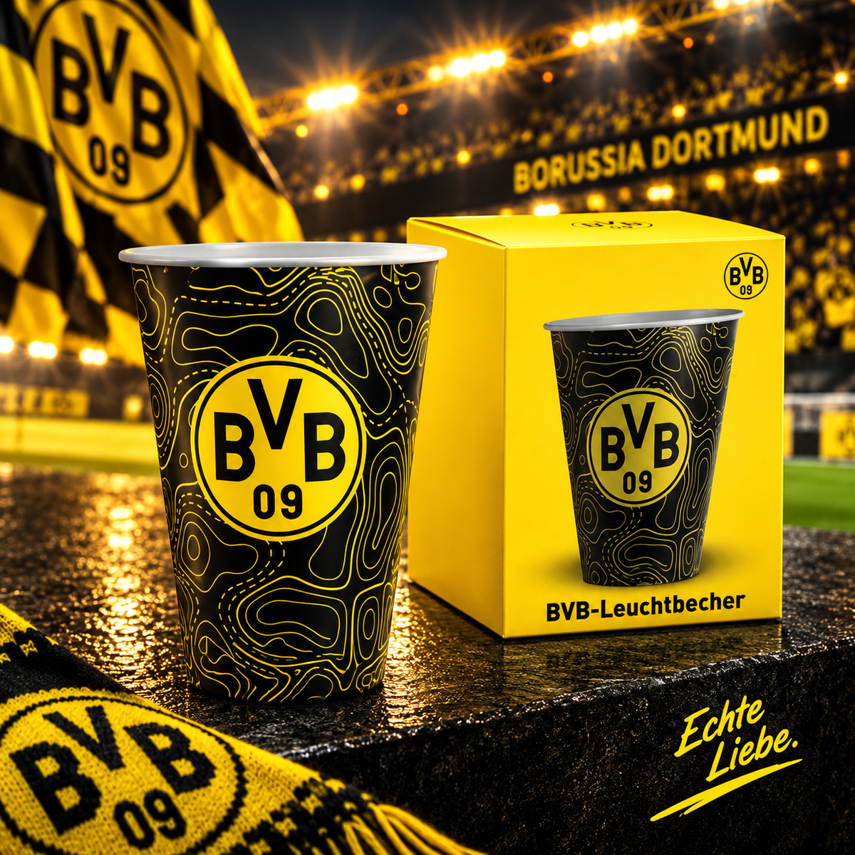 BVB Leuchtbecher